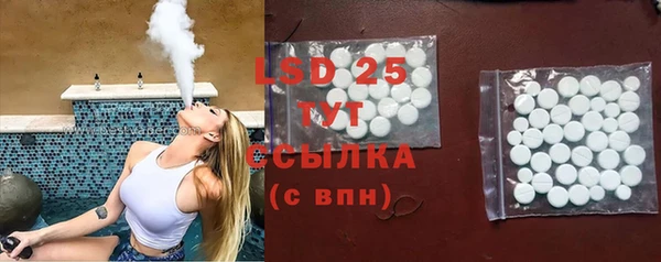 индика Алексин