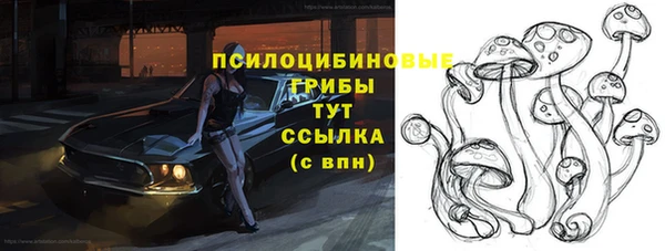 гашик Алзамай