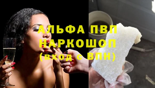 гашик Алзамай