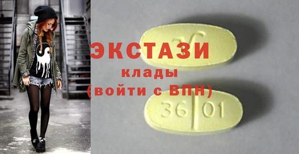 индика Алексин