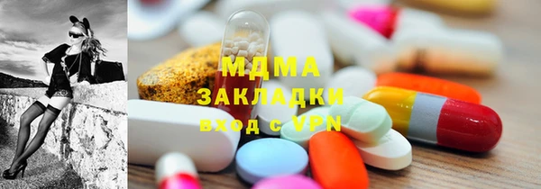 индика Алексин
