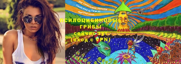 гашик Алзамай