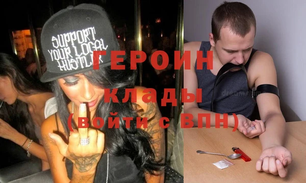 индика Алексин