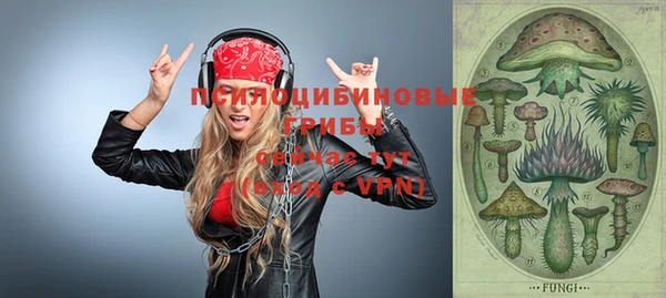 индика Алексин